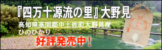 �u�l���\�����̗��v��쌩�ʔ́E�̔��E��z