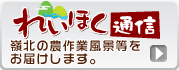 �ꂢ�ق��ʐM